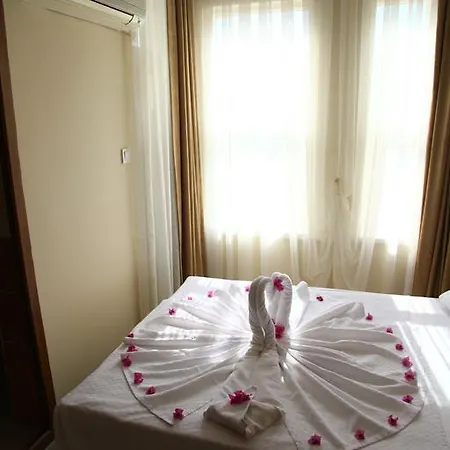 Exenia 3* Алания